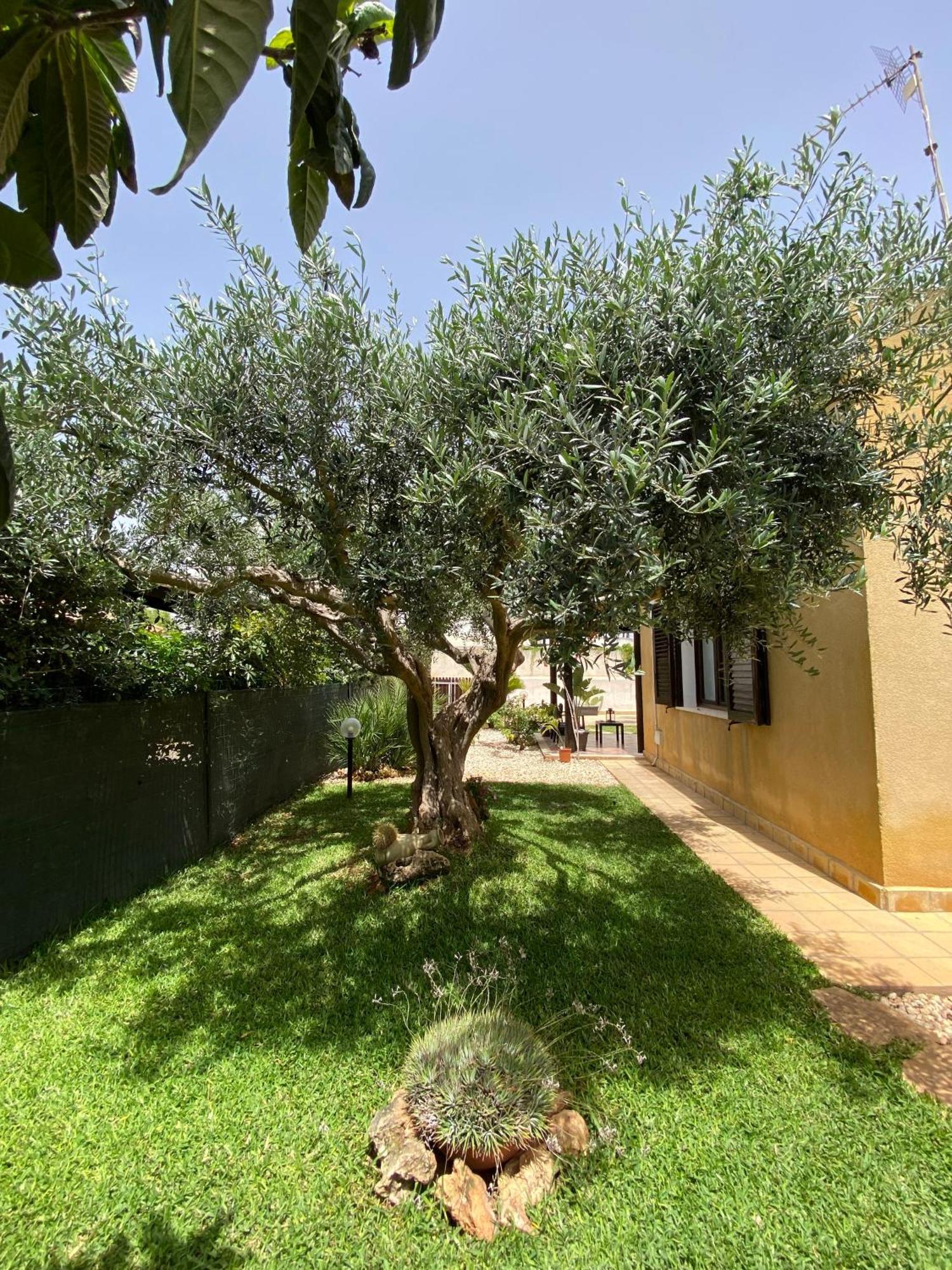 Villa Barbera Marsala Exterior foto